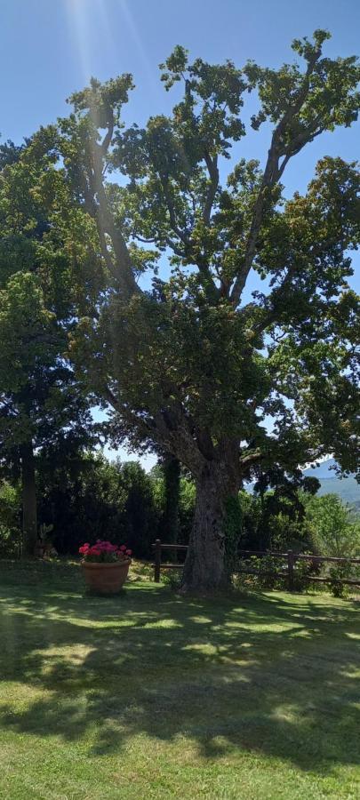 Poggio Al Sole Hotel ฟีเอโซเล ภายนอก รูปภาพ